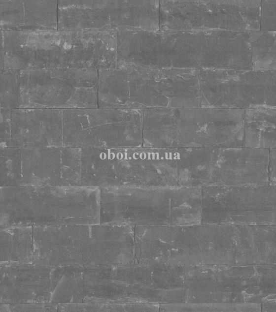 Шпалери Rasch (Німеччина) колекція Modern surface2