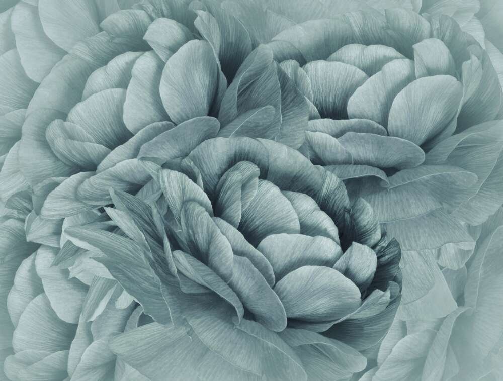 Фотообои Цветы под заказ из категории flowers