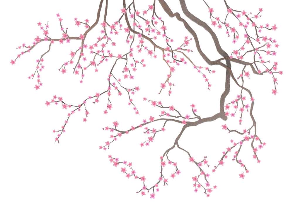 Фотообои Цветы под заказ из категории flowers