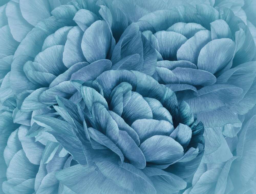 Фотообои Цветы под заказ из категории flowers