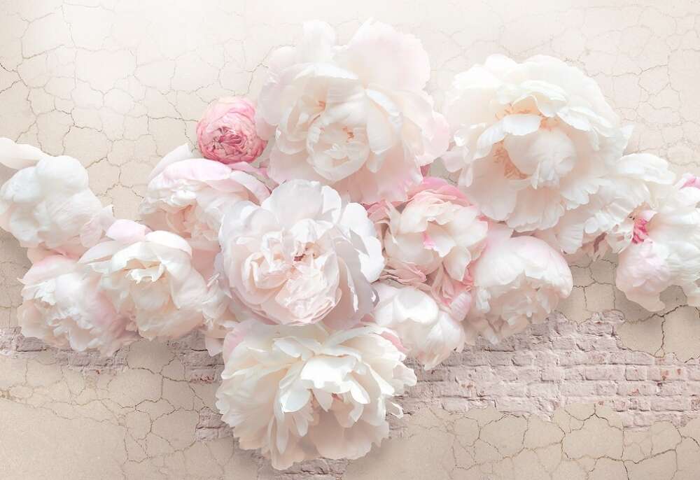 Фотообои Цветы под заказ из категории flowers