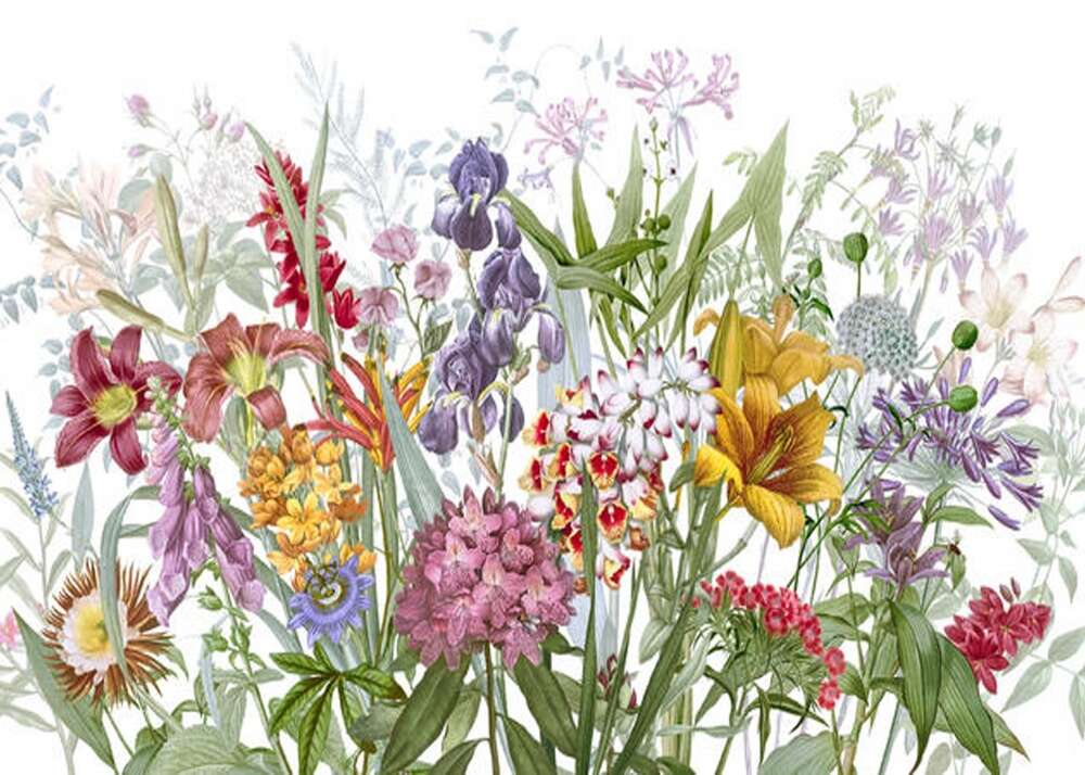 Фотообои Цветы под заказ из категории flowers