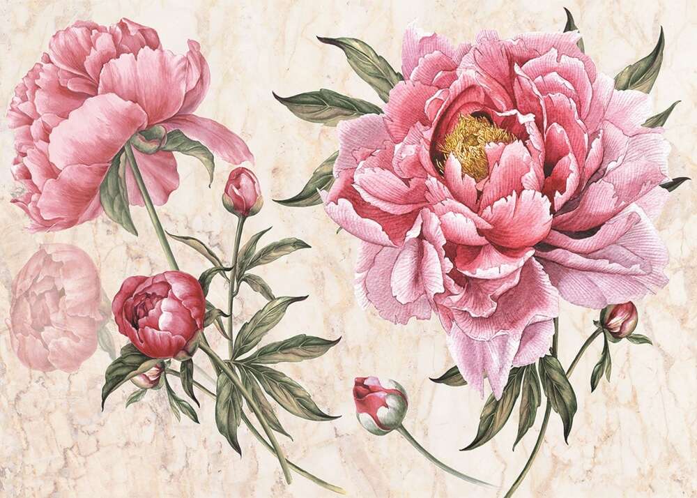 Фотообои Цветы под заказ из категории flowers