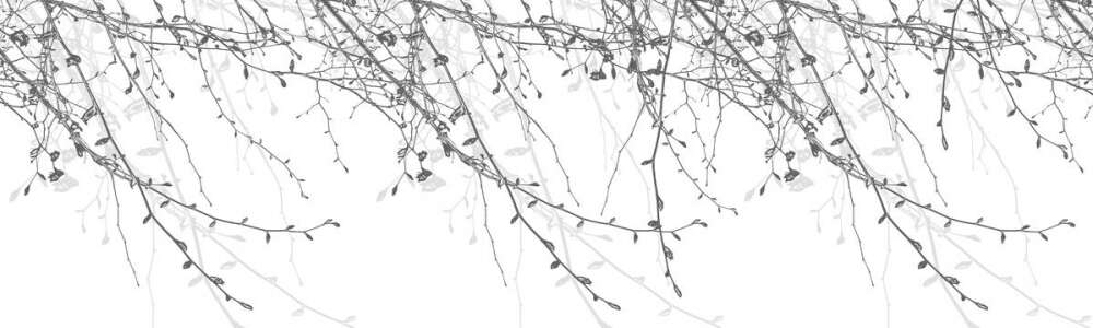 Фотообои Цветы под заказ из категории flowers