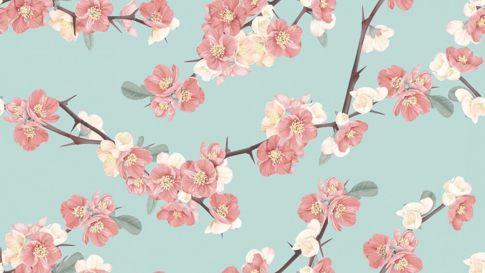 Фотообои Цветы под заказ из категории flowers