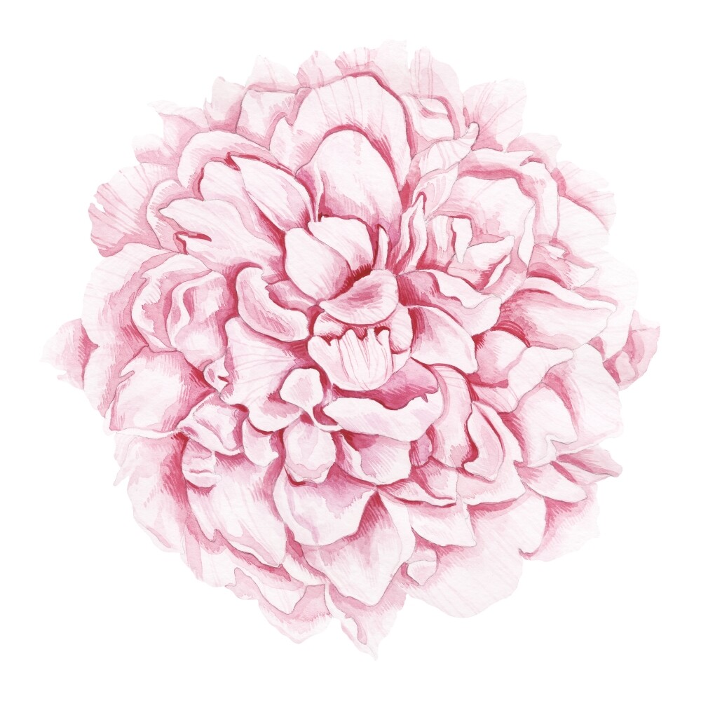Фотообои Цветы под заказ из категории flowers