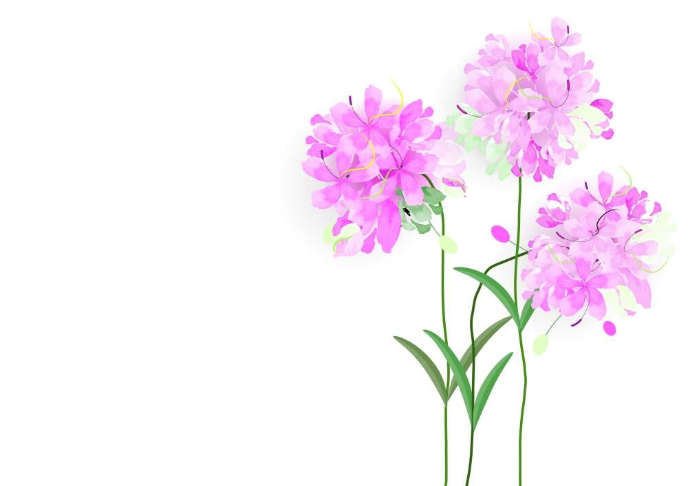 Фотообои Цветы под заказ из категории flowers