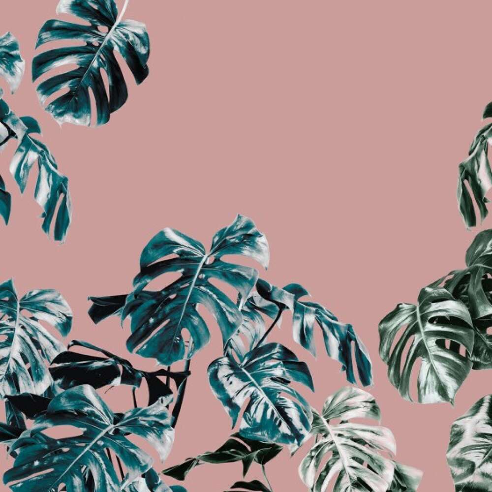 Фотообои Тропики под заказ из категории tropic