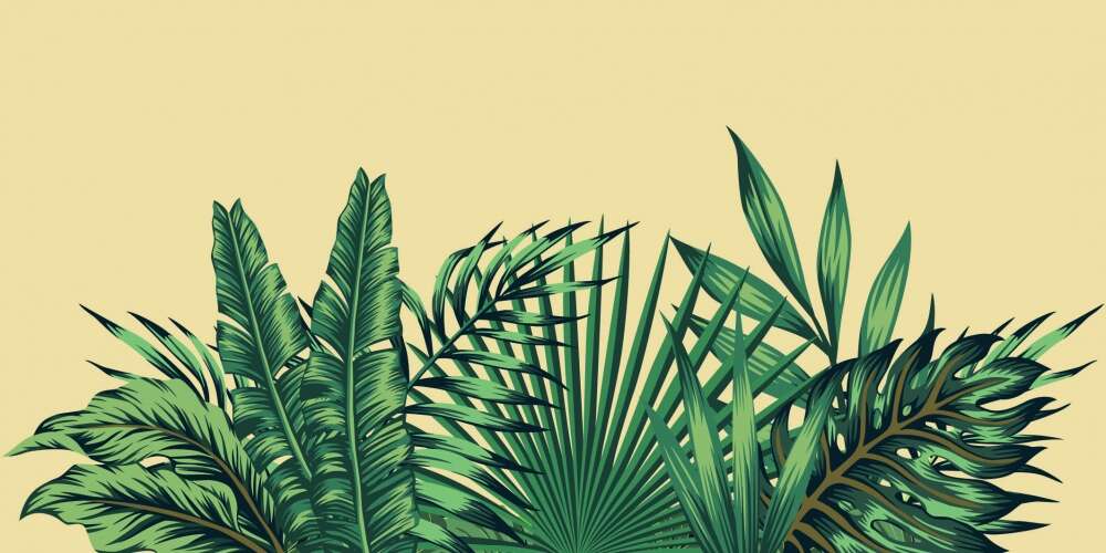 Фотообои Тропики под заказ из категории tropic